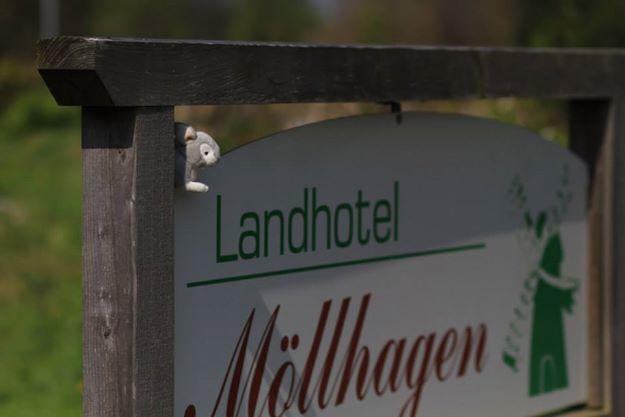 Landhotel Moellhagen Schulp bei Nortorf Exterior photo